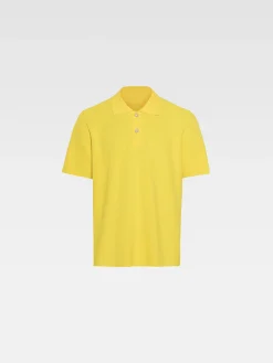 The knit polo shirt