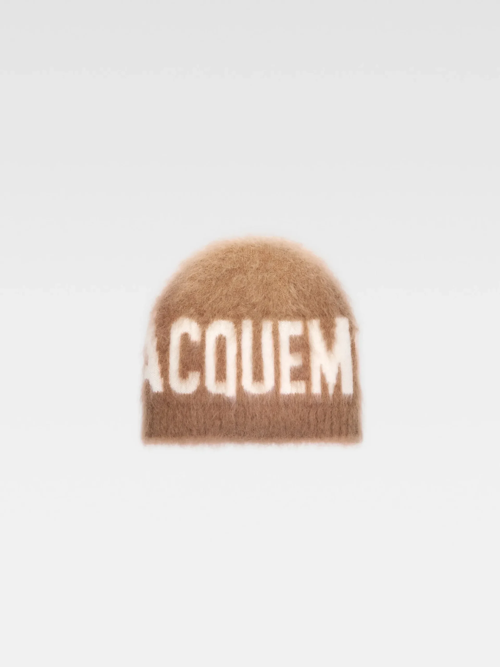 The Logo beanie